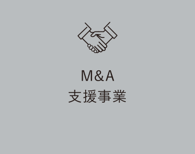 M&A戦略支援事業