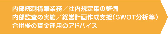 内部統制構築業務／社内規定集の整備 内部監査の実施／経営計画作成支援（SWOT分析） 合併後の資金運用のアドバイス